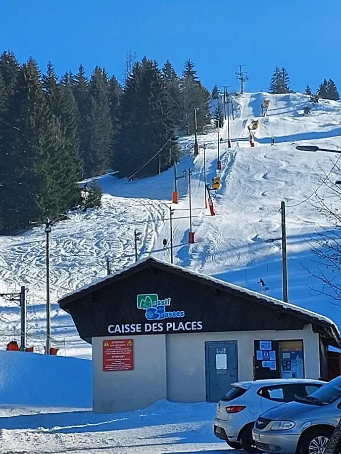 Apartment Appartement Vacances A La Montagne - Massif Des Brasses Bogeve