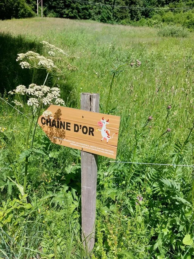 Appartement Vacances A La Montagne - Massif Des Brasses Bogeve